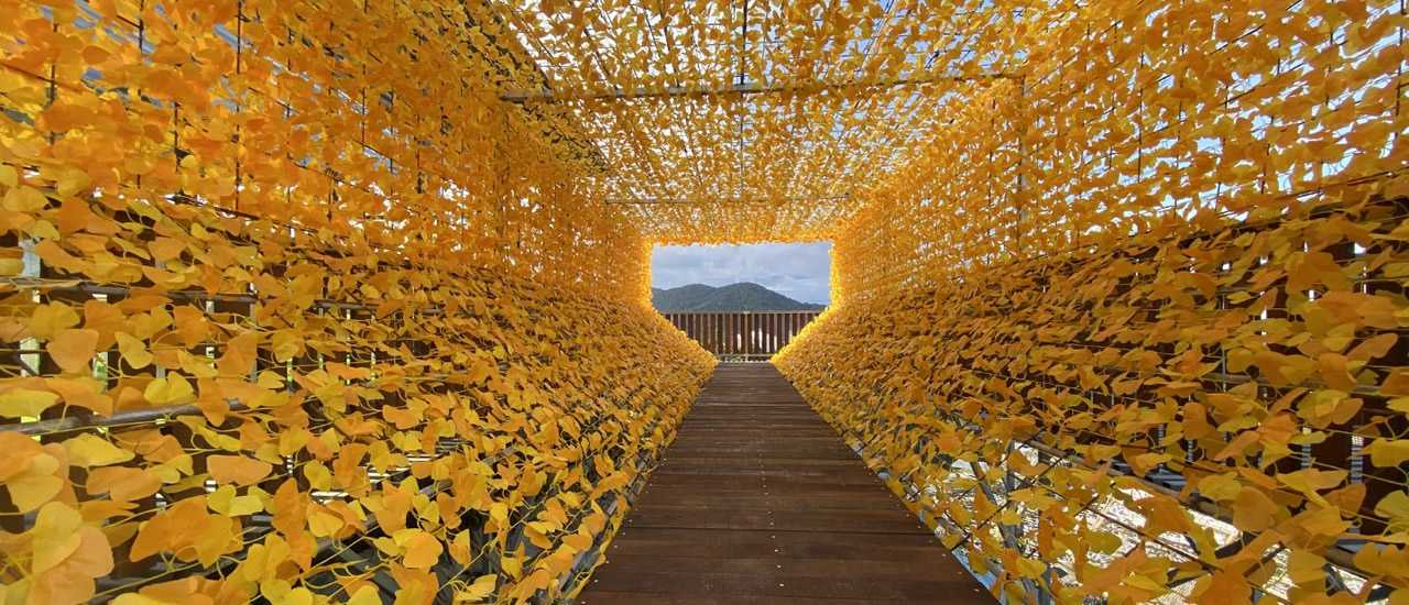 Golden Maple Bridge